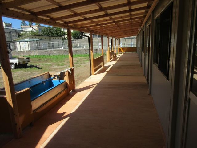 img20200225144536851410.jpg