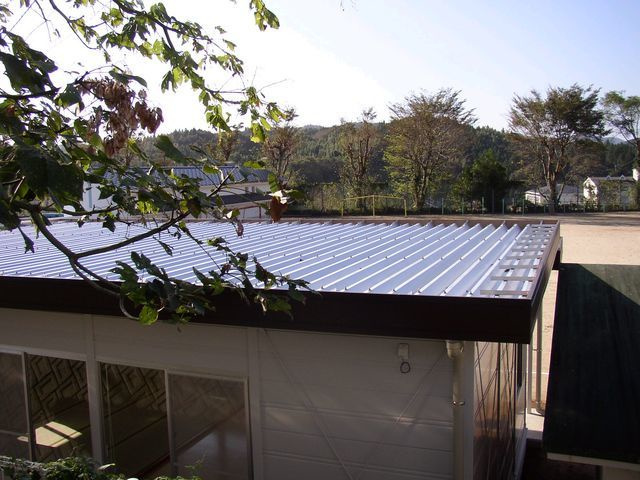img20200813152632841829.jpg